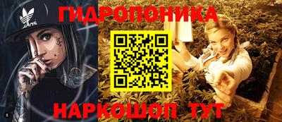 молекула духа Гагарин
