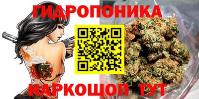 индика Старая Купавна