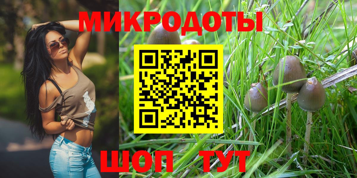 Галлюциногенные грибы MAGIC MUSHROOMS Моздок